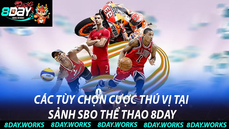 Các tùy chọn cược thú vị tại sảnh SBO thể thao 8DAY