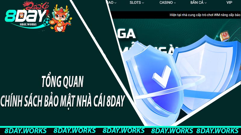 Tổng quan chính sách bảo mật nhà cái 8day 